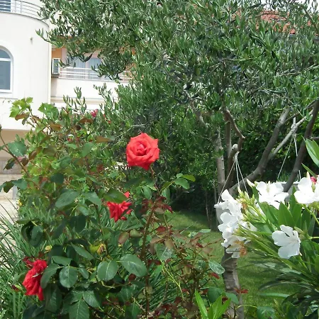 Jadranka Lejlighed Privlaka (Zadar)