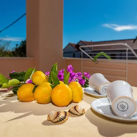 Lejlighed Jadranka Privlaka (Zadar)