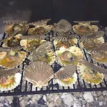 Jadranka * פריבלאקה