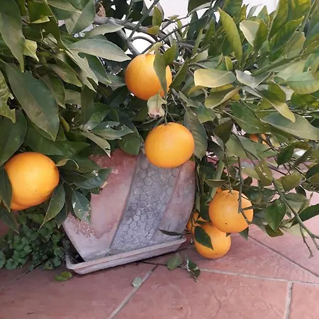 Appartement Jadranka *